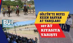 Gölcük’te Nefes Kesen Rahvan At Yarışları! 107 At Kıyasıya Yarıştı