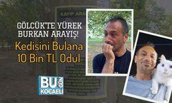 Gölcük'te Yürek Burkan Arayış! Bulana 10 Bin TL Ödül