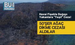 Havai Fişekle Doğayı Yakanlara “Yeşil” Ceza! 50’şer Ağaç Dikme Cezası Aldılar