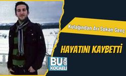 Kulağından Arı Sokan Genç Hayatını Kaybetti