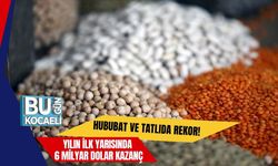 Hububat ve Tatlıda Rekor! Yılın İlk Yarısında 6 Milyar Dolar Kazanç