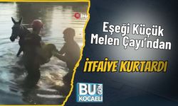 Eşeği Küçük Melen Çayı’ndan İtfaiye Kurtardı