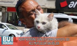 Kayıp Kedisine Günler Sonra Kavuştu, Bu Kez Mutluluktan Ağladı