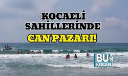 Kocaeli Sahillerinde Can Pazarı!