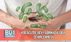 Kocaeli’de Dev Fabrikada Gıda Zehirlenmesi