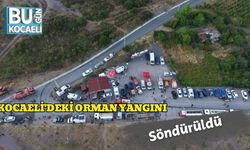 Kocaeli'deki orman yangını söndürüldü