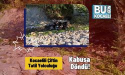 Kocaelili Çiftin Tatil Yolculuğu Kabusa Döndü!