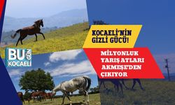 Kocaeli’nin Gizli Gücü! Milyonluk Yarış Atları Akmeşe'den Çıkıyor