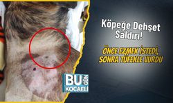Köpeğe Dehşet Saldırı! Önce Ezmek İstedi, Sonra Tüfekle Vurdu