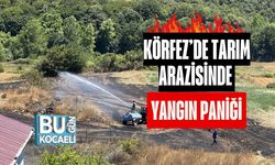 Körfez’de Tarım Arazisinde Yangın Paniği