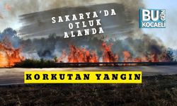 Sakarya’da Otluk Alanda Korkutan Yangın