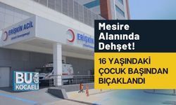 Mesire Alanında Dehşet! 16 Yaşındaki Çocuk Başından Bıçaklandı