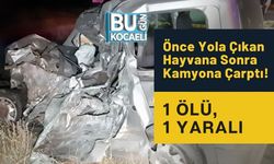 Önce Yola Çıkan Hayvana Sonra Kamyona Çarptı! 1 Ölü, 1 Yaralı