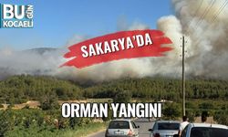 Sakarya’da Orman Yangını