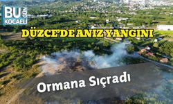 Düzce’de Anız Yangını Ormana Sıçradı