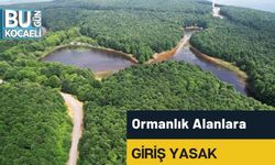 Ormanlık Alanlara Giriş Yasak