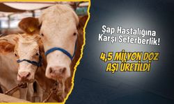 Şap Hastalığına Karşı Seferberlik! 4,5 Milyon Doz Aşı Üretildi