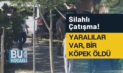 Silahlı Çatışma! Yaralılar Var, Bir Köpek Öldü