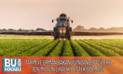 Tarım ve Orman Bakanlığı’ndan Çiftçilere 826 Milyon Liralık Destek Ödemesi
