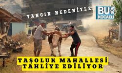 Yangın Nedeniyle Taşoluk Mahallesi Tahliye Ediliyor