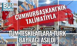 Cumhurbaşkanı'nın Talimatıyla Tüm Teşkilatlara Türk Bayrağı Asıldı