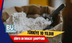 Türkiye 10 Yıldır Dünya Un İhracat Şampiyonu