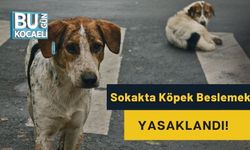 Sokakta Köpek Beslemek Yasaklandı!