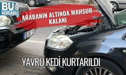 Arabanın Altında Mahsur Kalan Yavru Kedi Kurtarıldı