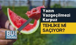 Yazın Vazgeçilmezi Karpuz Tehlike mi Saçıyor?