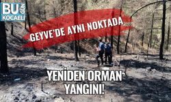 Geyve’de Aynı Noktada Yeniden Orman Yangını!