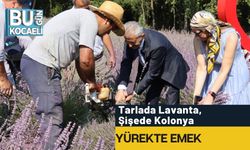 Tarlada Lavanta, Şişede Kolonya, Yürekte Emek