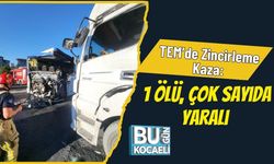 TEM’de Zincirleme Kaza: 1 Ölü, Çok Sayıda Yaralı