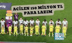 Acilen 150 Milyon TL Para Lazım