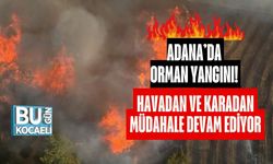 Adana’da Orman Yangını! Havadan ve Karadan Müdahale Devam Ediyor