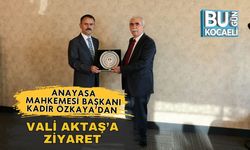 Anayasa Mahkemesi Başkanı Kadir Özkaya’dan Vali Aktaş’a Ziyaret