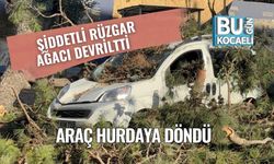 Şiddetli Rüzgar Ağacı Devriltti, Araç Hurdaya Döndü
