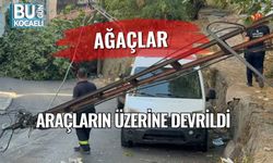 Ağaçlar Araçların Üzerine Devrildi