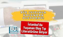 Bir Isırıkla Kolundan Oluyordu! İstanbul’da Yaşanan Olay Tıp Literatürüne Giriyor