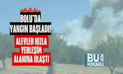 Bolu’da Yangın Başladı! Alevler Hızla Yerleşim Alanına Ulaştı