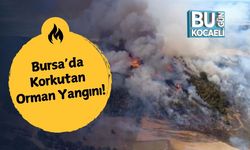 Bursa’da Korkutan Orman Yangını!