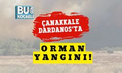 Çanakkale Dardanos’ta Orman Yangını!