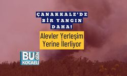 Çanakkale’de Bir Yangın Daha! Alevler Yerleşim Yerine İlerliyor