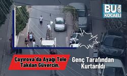 Çayırova’da Ayağı Tele Takılan Güvercin, Genç Tarafından Kurtarıldı