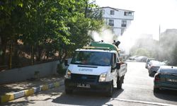 Çayırova’da Vektörle Mücadele Sürüyor: Ekipler Sokak Sokak İlaçlıyor