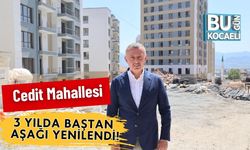 Cedit Mahallesi 3 Yılda Baştan Aşağı Yenilendi!