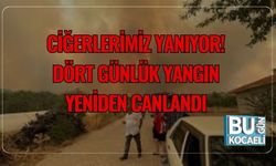 Ciğerlerimiz Yanıyor! Dört Günlük Yangın Yeniden Canlandı