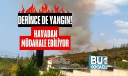Derince de Yangın! Havadan Müdahale Ediliyor