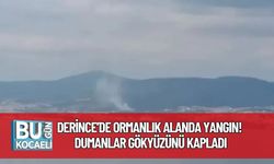 Derince’de Ormanlık Alanda Yangın! Dumanlar Gökyüzünü Kapladı