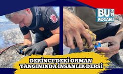 Derince’deki Orman Yangınında İnsanlık Dersi