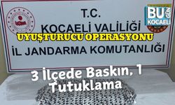 Uyuşturucu Operasyonu: 3 İlçede Baskın, 1 Tutuklama